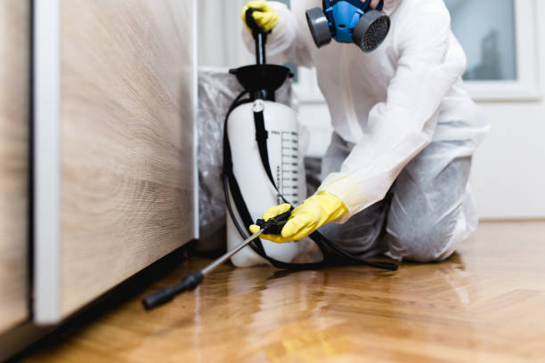 Reliable Avila Beach, CA Pest Control Solutions